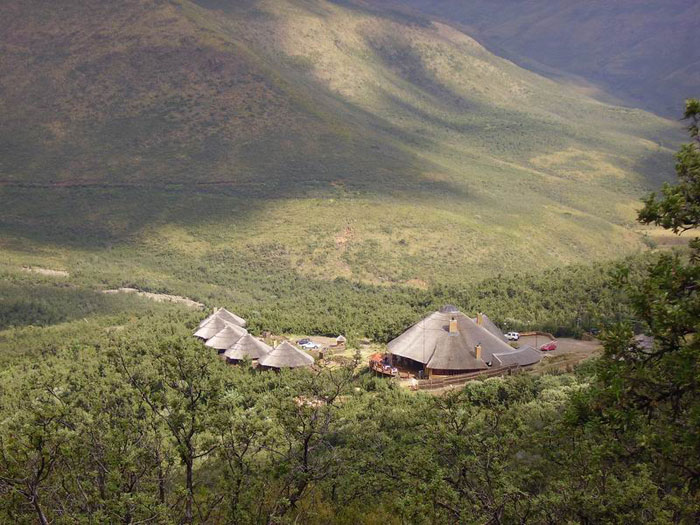 imagen 3 de La llamada de la selva.