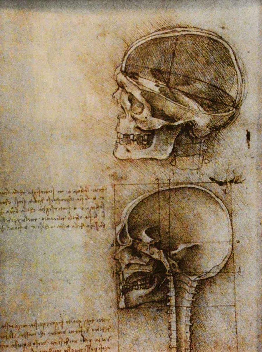 imagen 7 de Da Vinci.