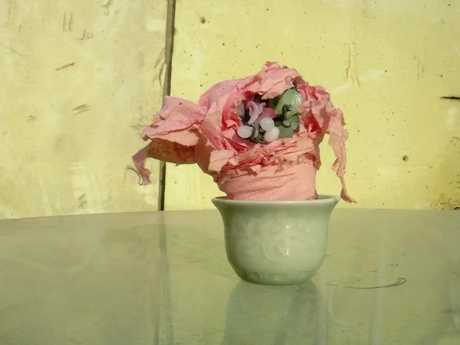 imagen 6 de Millones y abundantes razones.