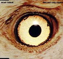 «Scar Tissue». Red Hot Chilli Peppers.