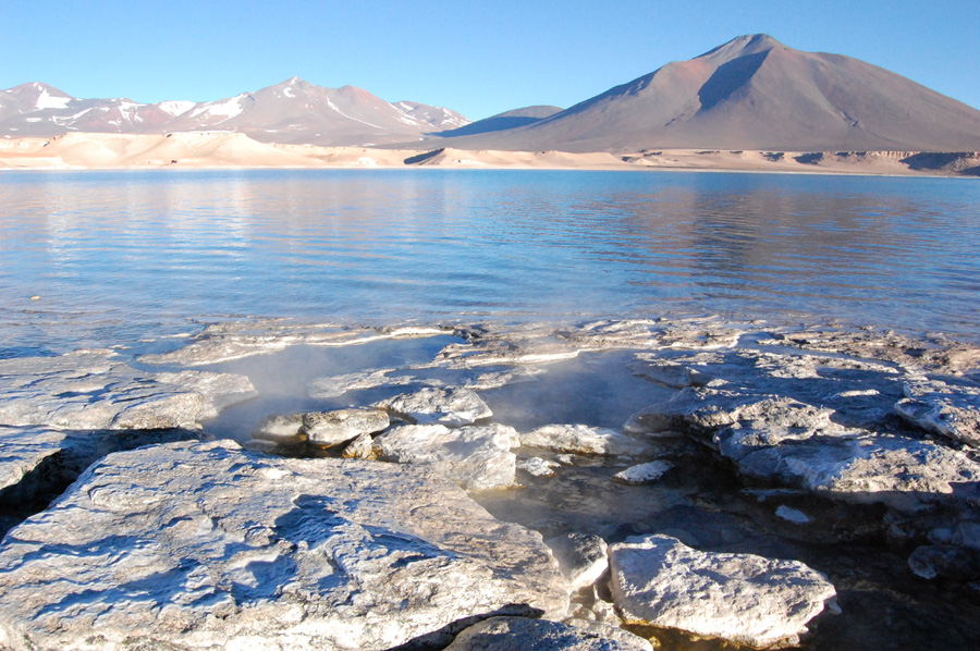 imagen 6 de Atacama y Patagonia, al galope.
