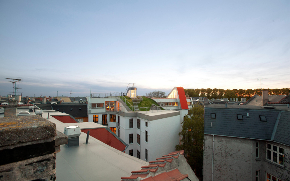 imagen 6 de El jardín perdido.