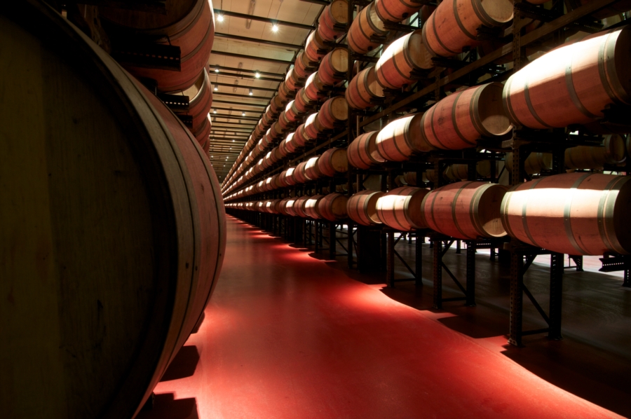 imagen 3 de El I+D del mundo del vino.