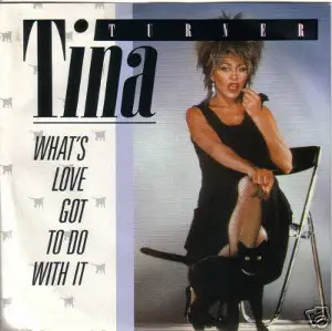 ‘What’s Love Got To Do With It’. Tina Turner