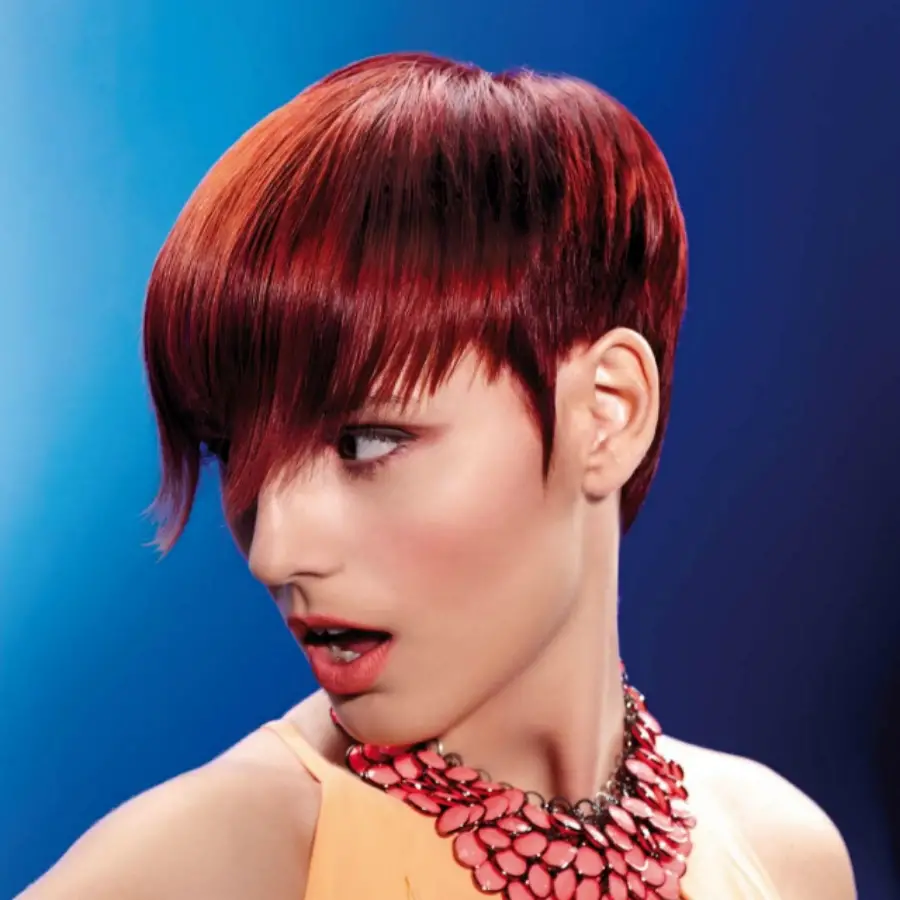 imagen 11 de Roots, la esencia.