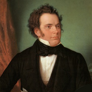 “Trio opus 99”. Franz Schubert.