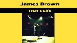 «That’s life». James Brown.