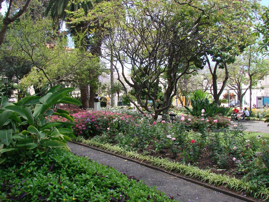 imagen 6 de En un jardín tropical.