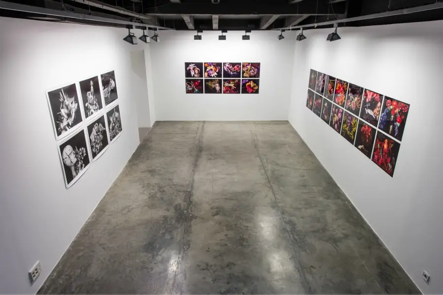 imagen 11 de Todo en uno.