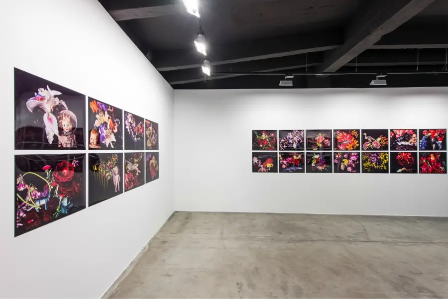 imagen 12 de Todo en uno.