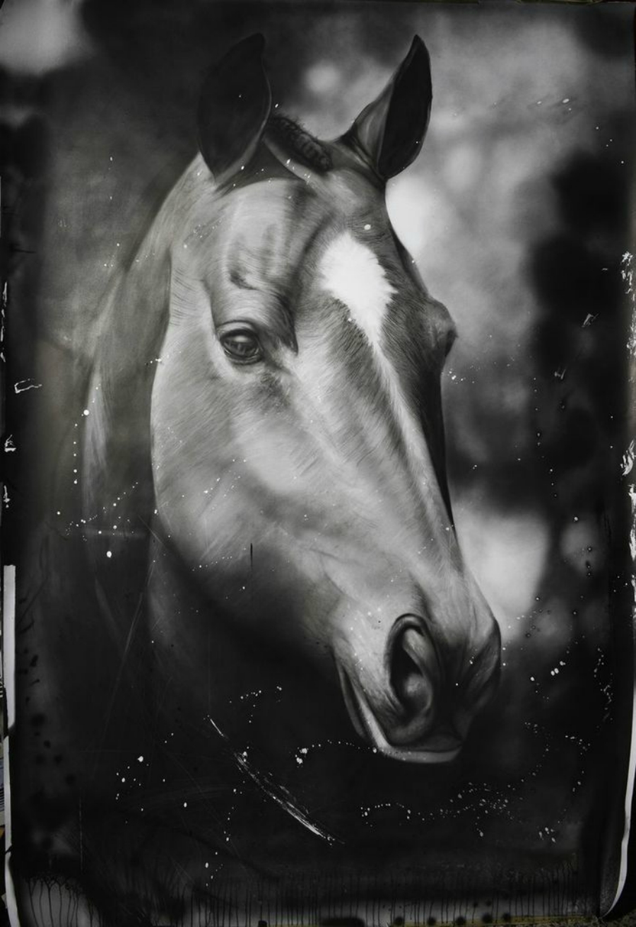 imagen 12 de Equus.
