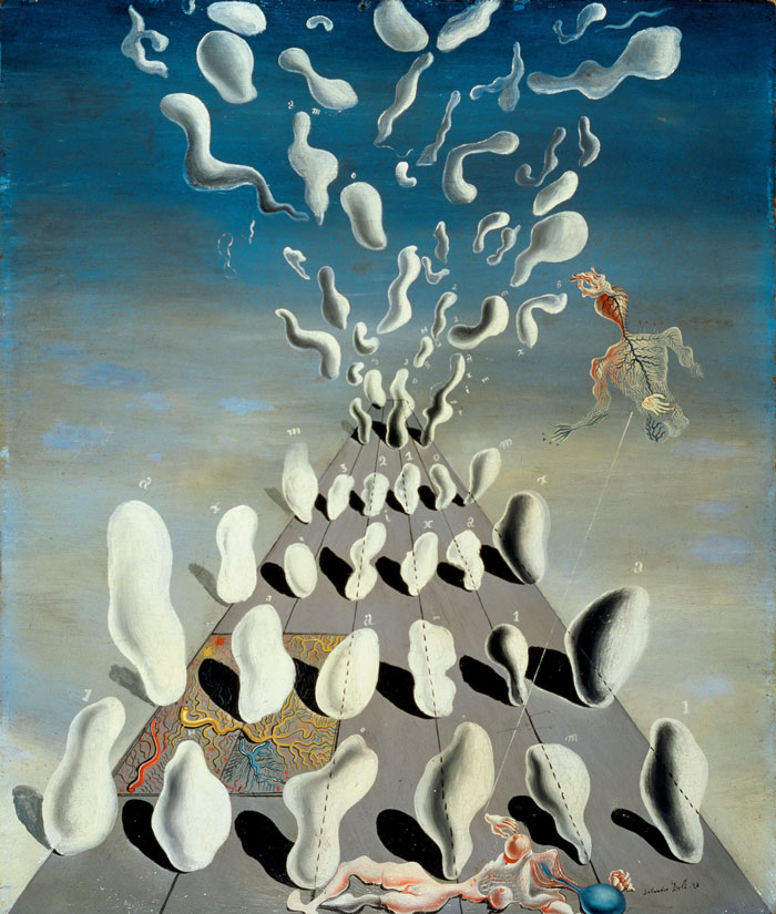 imagen 5 de Dalí.