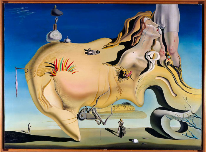imagen 2 de Dalí.