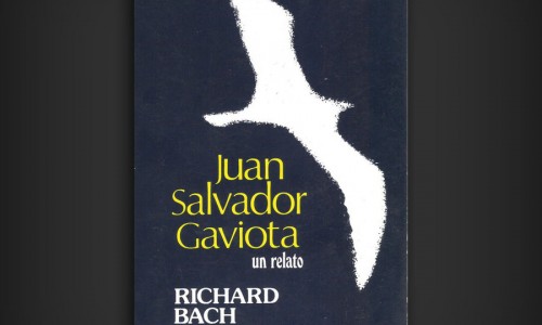 Juan Salvador Gaviota.