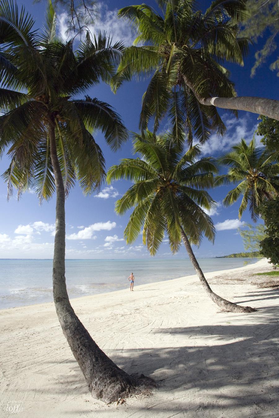 imagen 1 de Aitutaki, el paraíso perfecto.