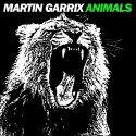 Animals. Martin Garrix.