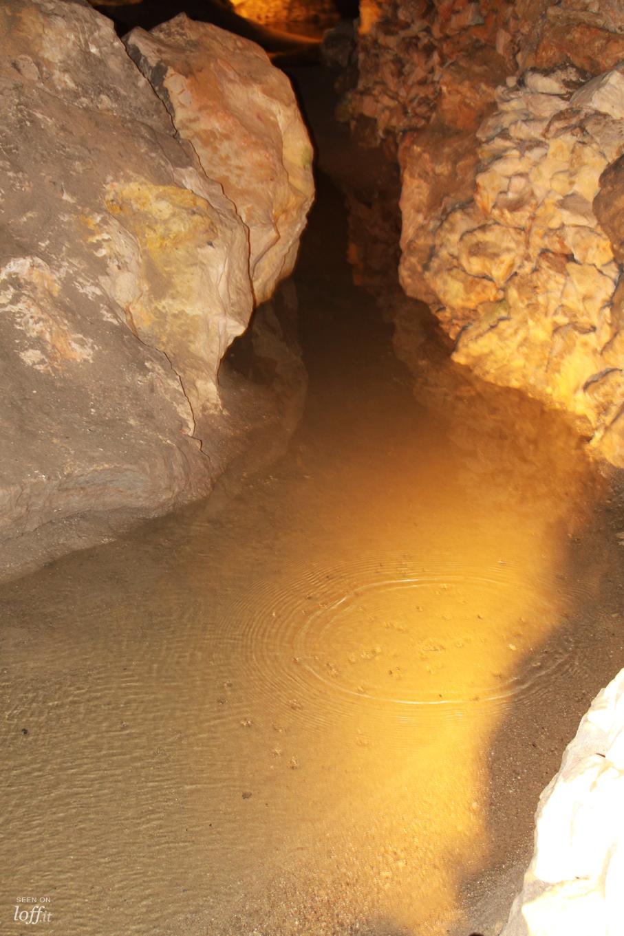 imagen 3 de La cueva de Los Enebralejos.