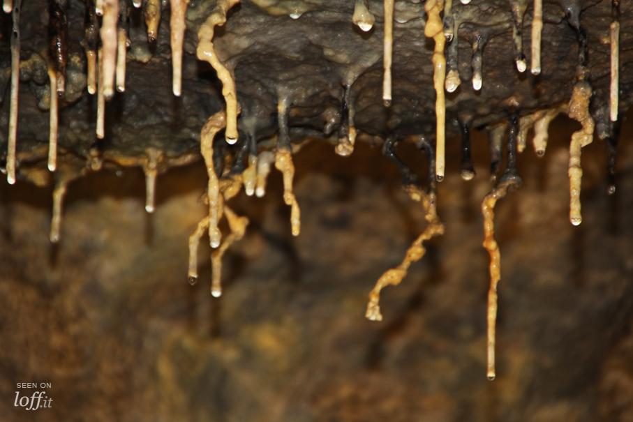 imagen 5 de La cueva de Los Enebralejos.