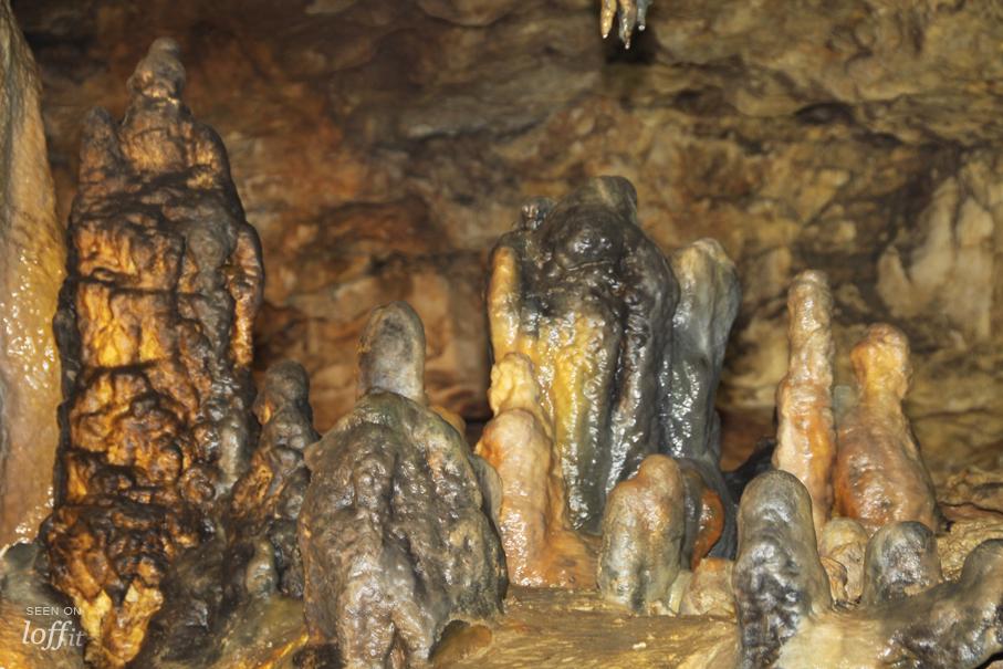 imagen 6 de La cueva de Los Enebralejos.