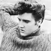 Hound dog. Elvis Presley