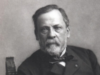 Louis Pasteur, científico.