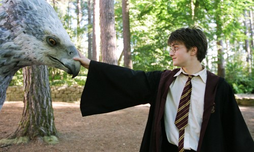 Vivir Harry Potter.