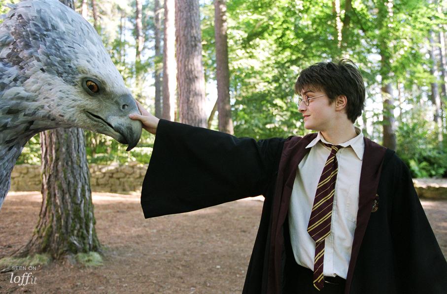 imagen 4 de Vivir Harry Potter.