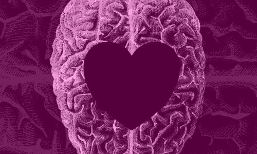 El cerebro enamorado.