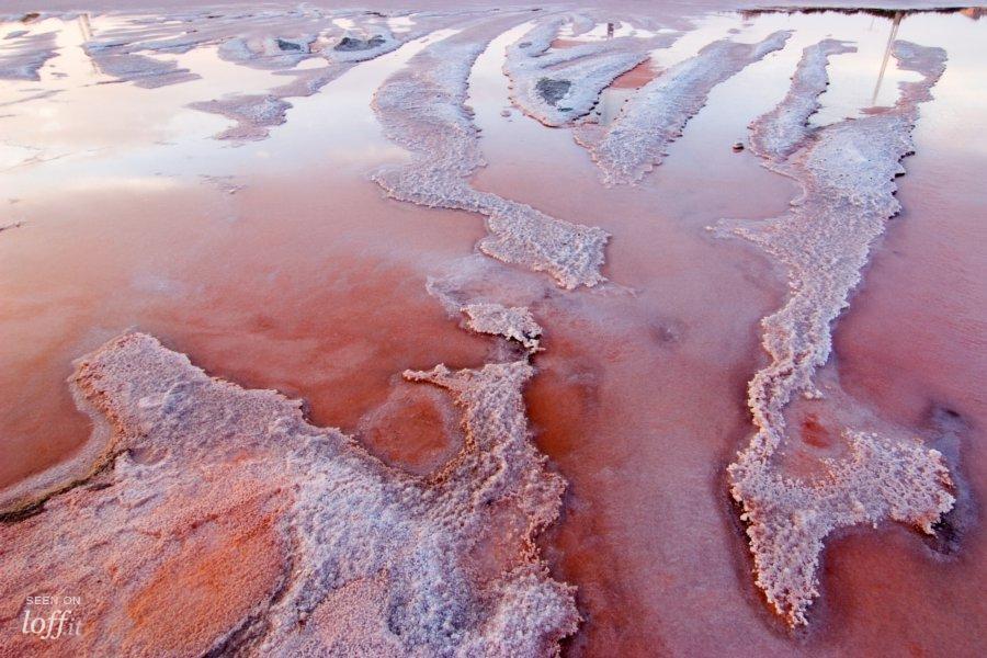 Salinas y Arenal de San Pedro del Pinatar 10