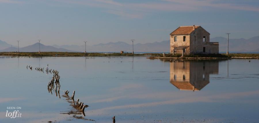 Salinas y Arenal de San Pedro del Pinatar 11