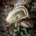 Sorlut, las mejores ostras francesas de Madrid.