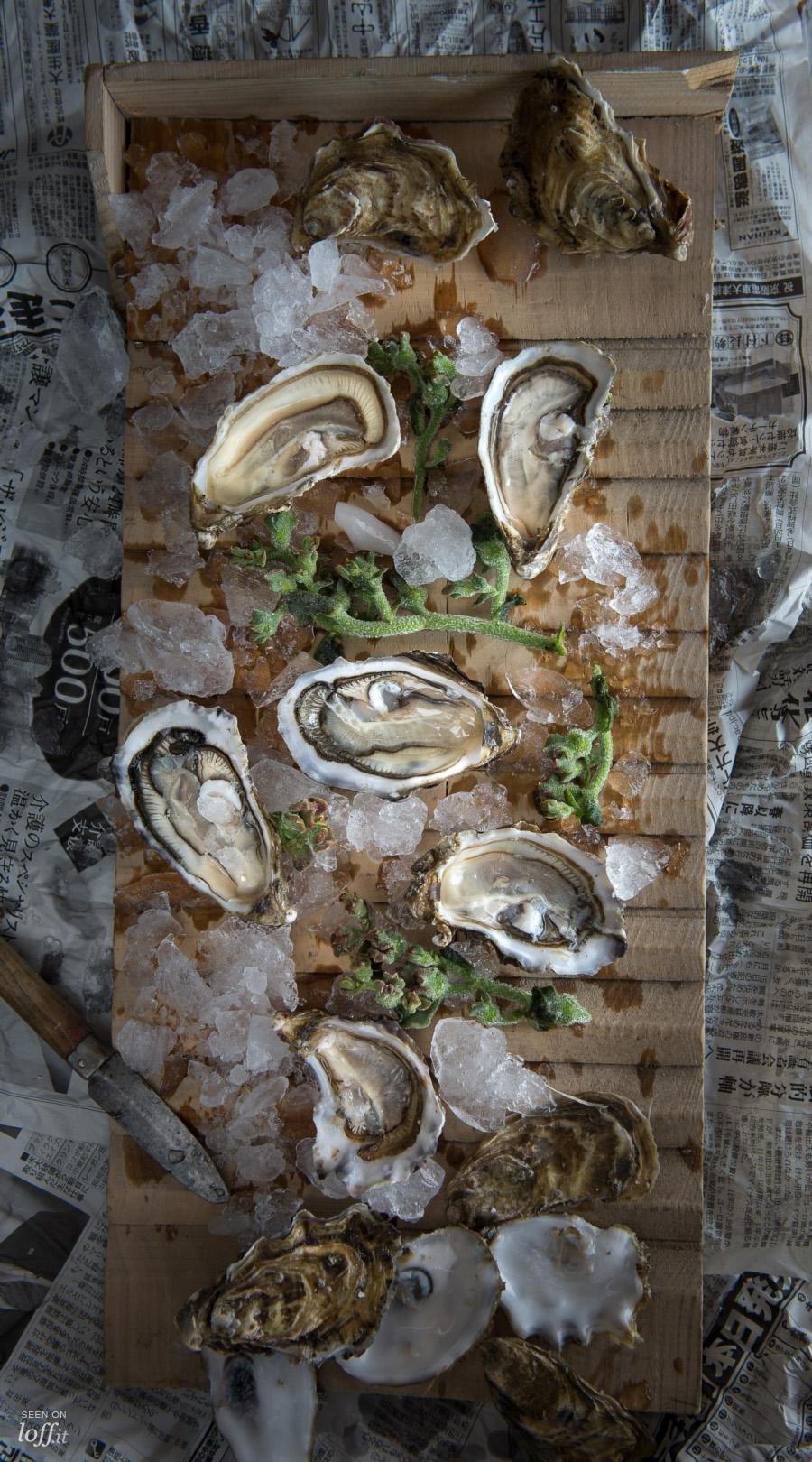 imagen 4 de Sorlut, las mejores ostras francesas de Madrid.