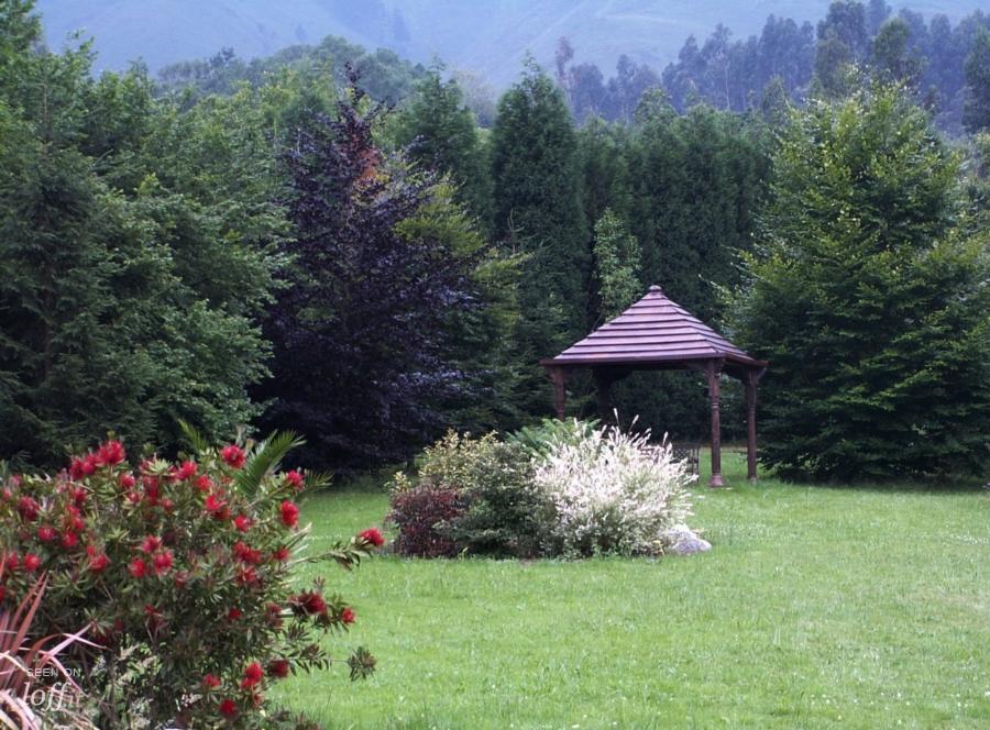 Habana jardín. 