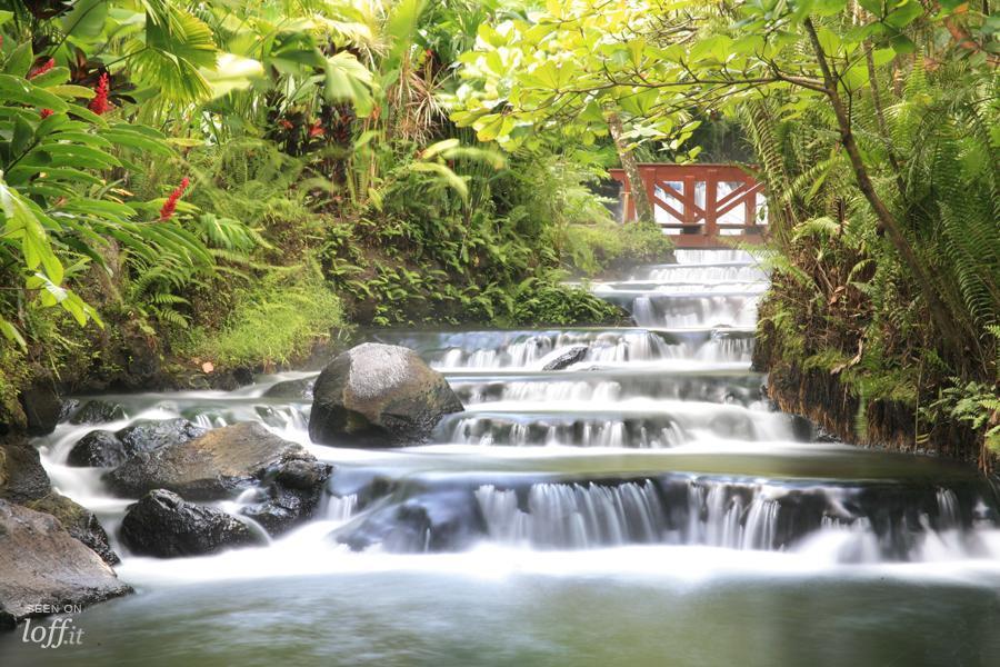 imagen 7 de Costa Rica: aguas termales a los pies del volcán.