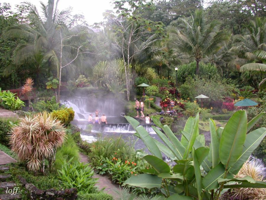 imagen 9 de Costa Rica: aguas termales a los pies del volcán.