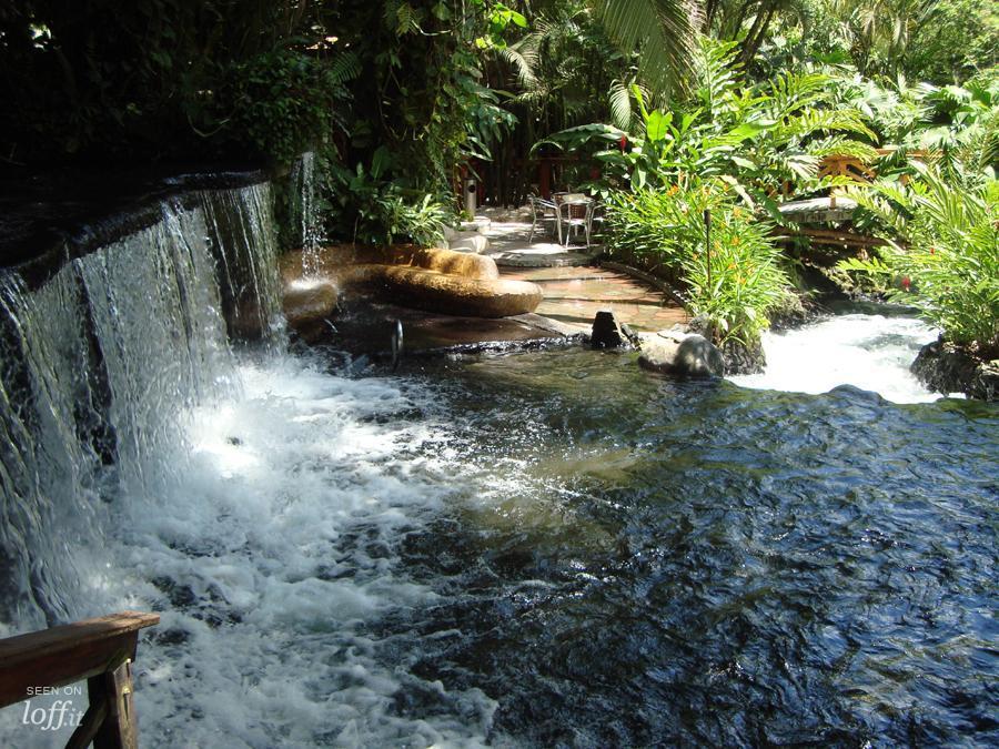 imagen 4 de Costa Rica: aguas termales a los pies del volcán.