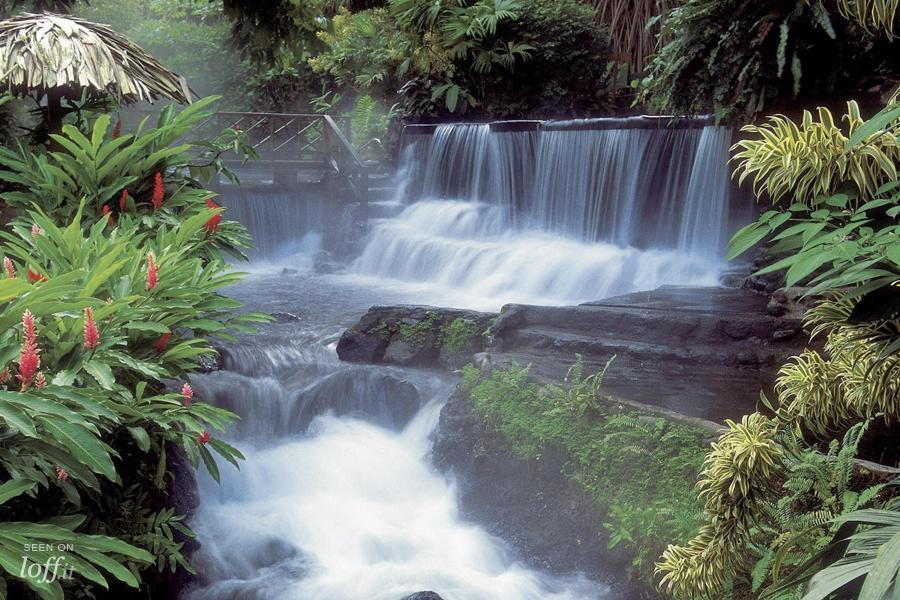 imagen 8 de Costa Rica: aguas termales a los pies del volcán.