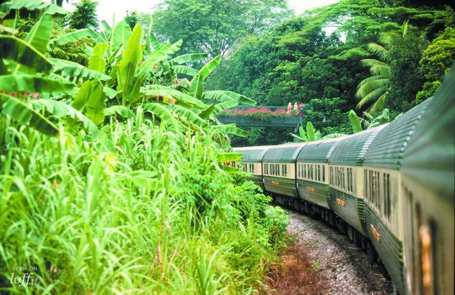 imagen 7 de El Sudeste Asiático, a bordo del Tiger Express.