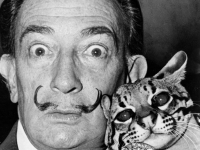 Salvador Dalí, el pintor de sueños.