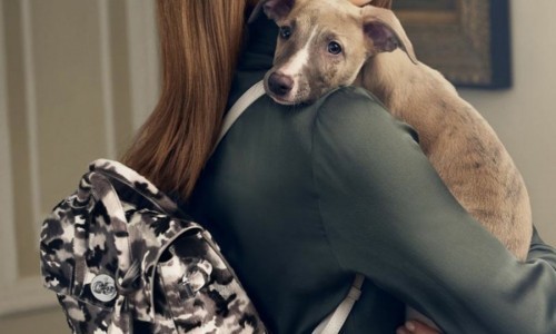 Cara Delevingne. Lujo animal para Mulberry.