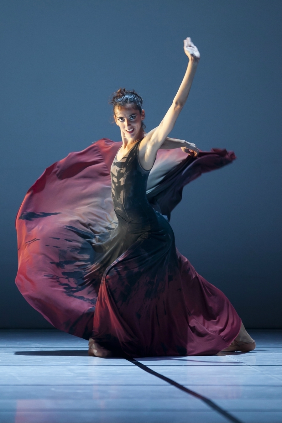 imagen 2 de El arte de la danza.