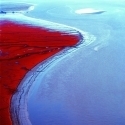 Panjin, la playa roja de China.