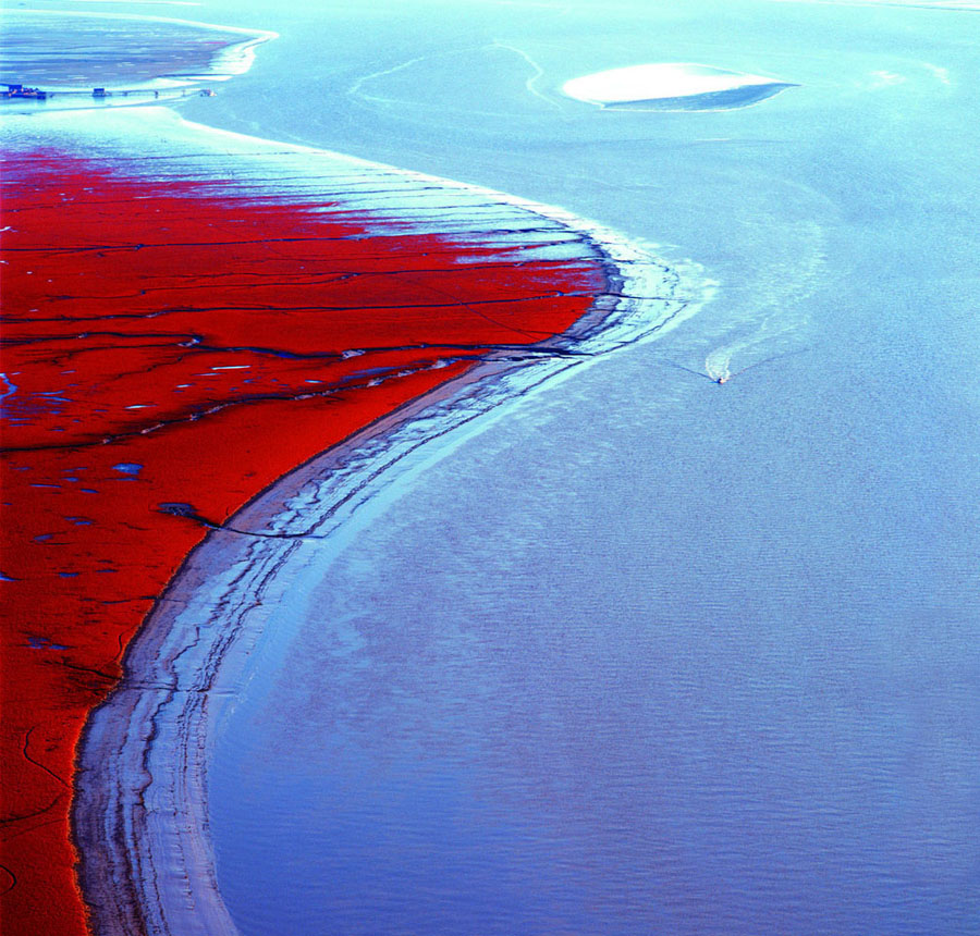 imagen 1 de Panjin, la playa roja de China.