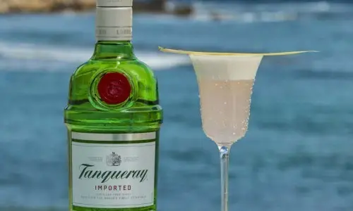 Tanqueray en cinco cócteles.