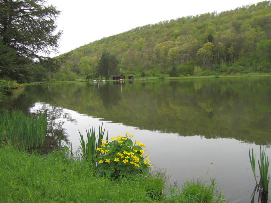 imagen 3 de The Glendorn, un ‘lodge’ en el corazón verde de Pensilvania.