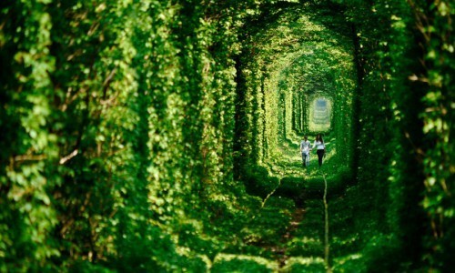 Tren directo al túnel más romántico del mundo.