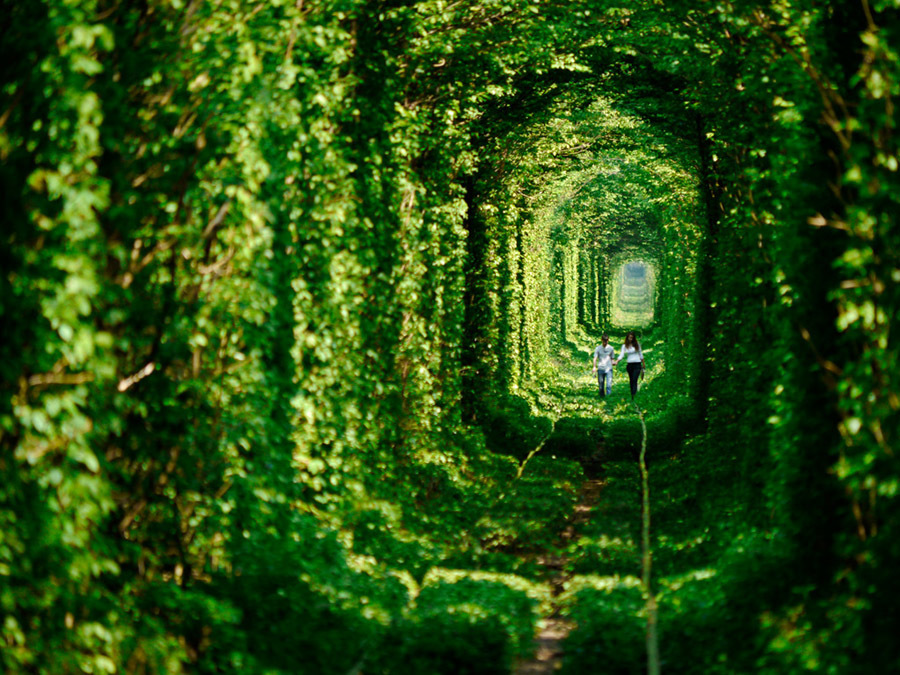 imagen 1 de Tren directo al túnel más romántico del mundo.