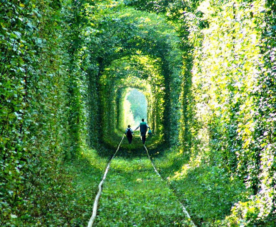 imagen 3 de Tren directo al túnel más romántico del mundo.