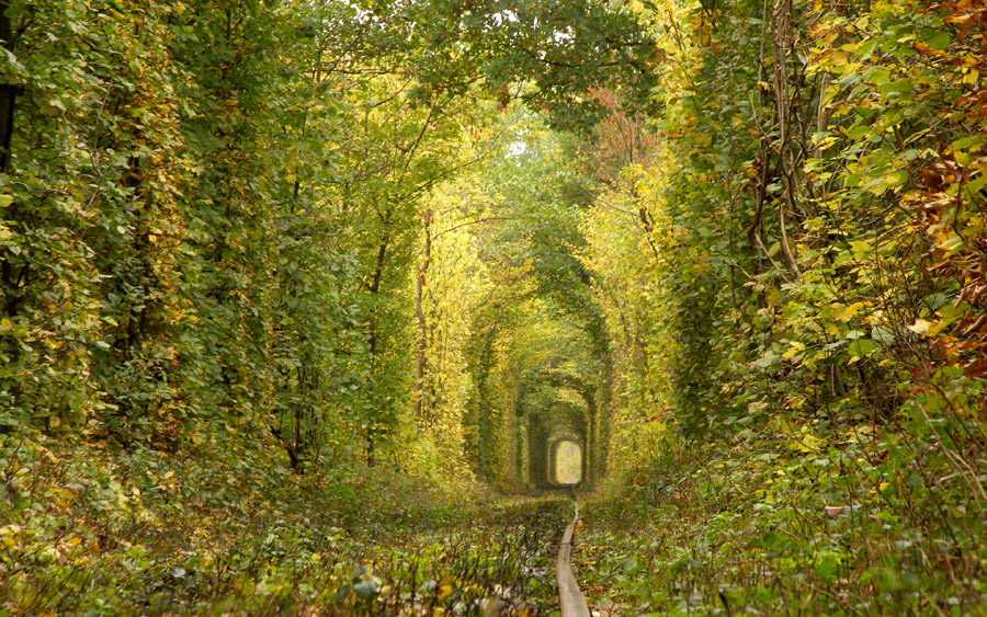 imagen 4 de Tren directo al túnel más romántico del mundo.