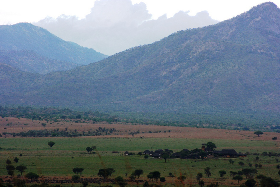 imagen 1 de Un safari de ensueño en el norte de Uganda.